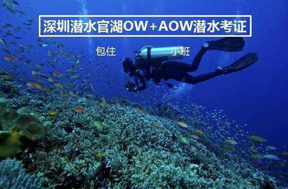 逃离复古经典房屋